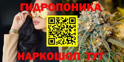 молекула духа Заволжье