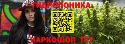 молекула духа Заволжье