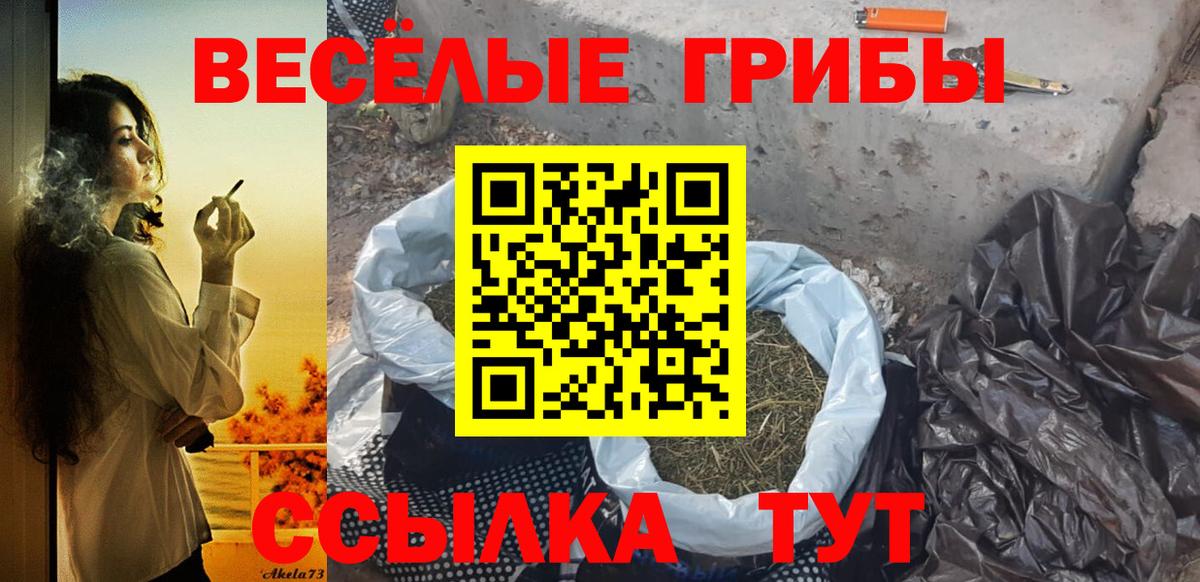 Псилоцибиновые грибы ЛСД  Вход с VPN  Псилоцибиновые грибы прущие грибы  Мичуринск 